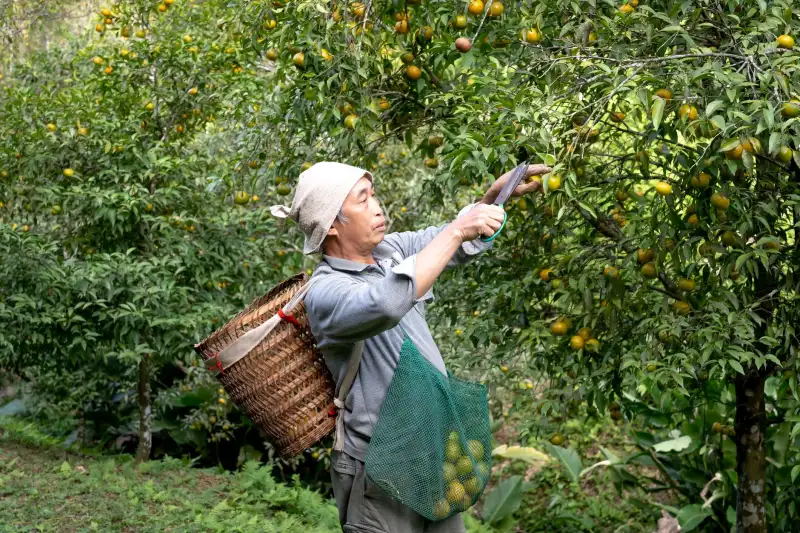商业空间设计趋势观察：深圳办公与零售场景的动线与材料应用变化